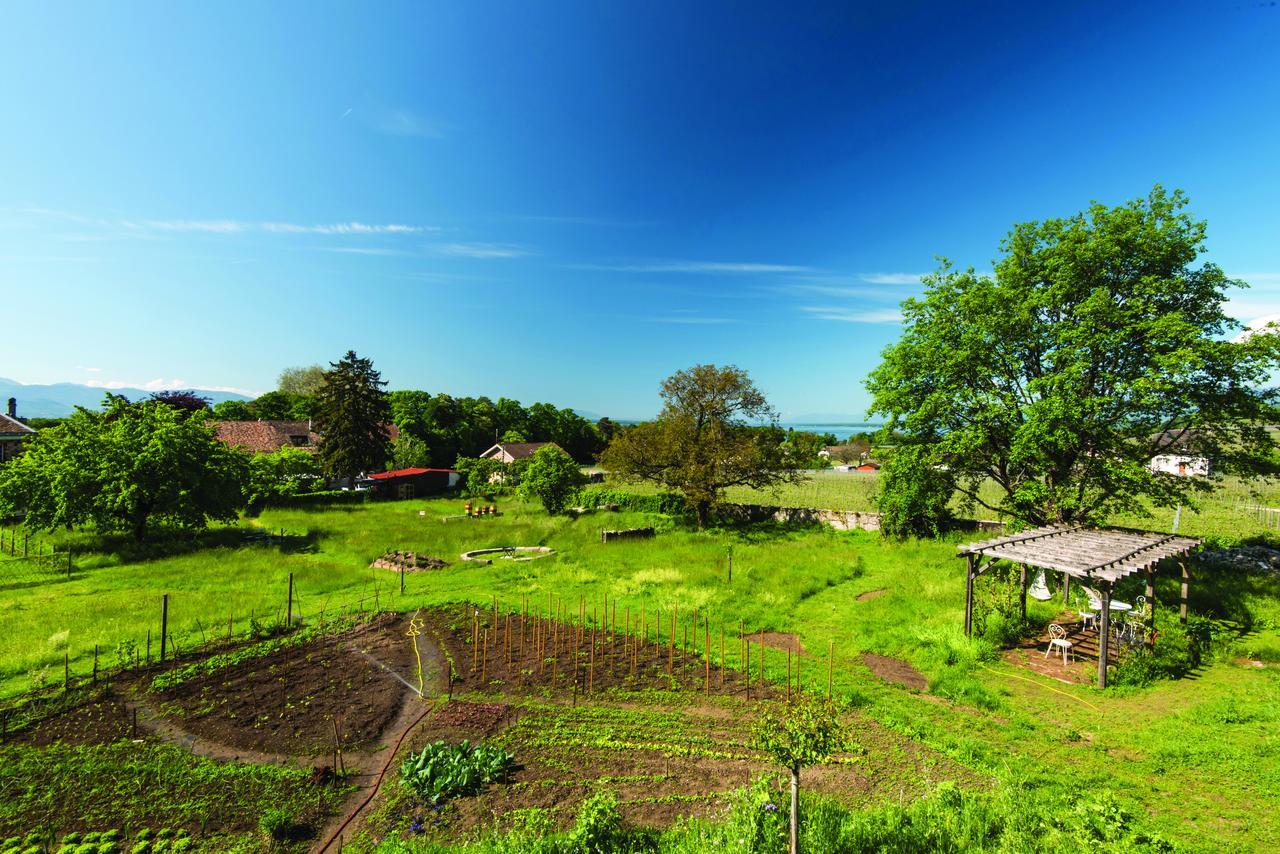 Chateau Rochefort Frühstückspension